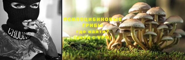 сатива Каменск-Шахтинский