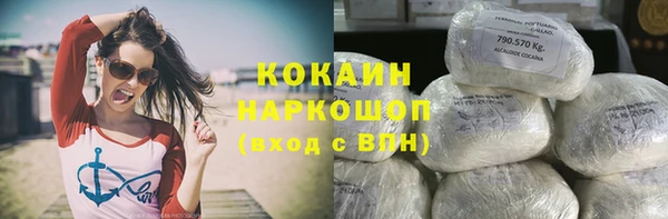 сатива Каменск-Шахтинский