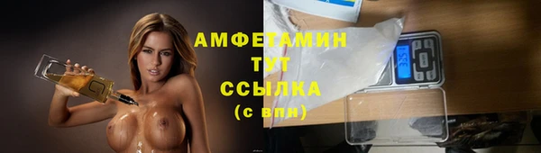 сатива Каменск-Шахтинский